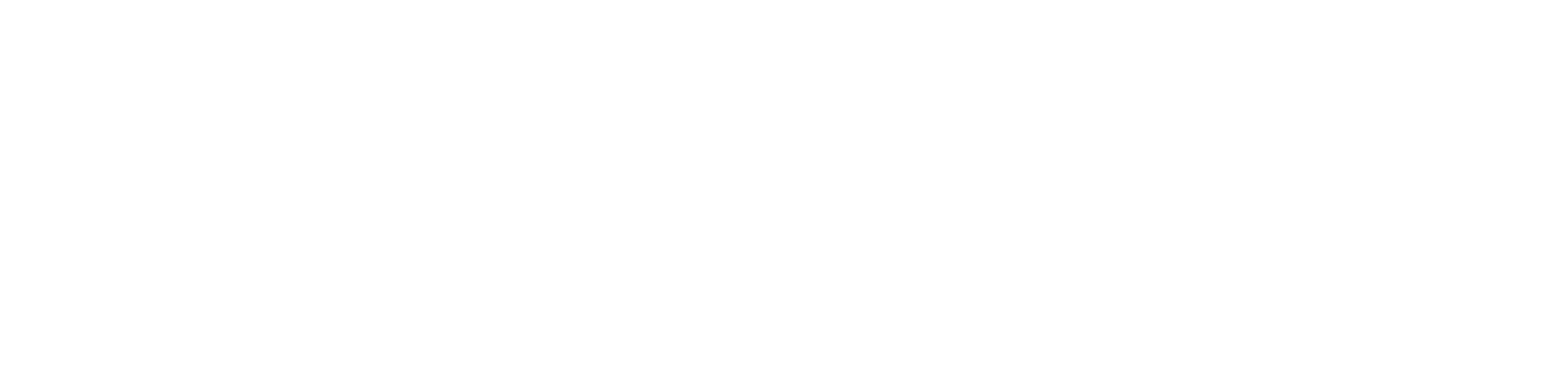 PRIMOTORS